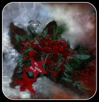 DSC_0985.Bild7
