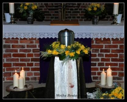 DSC_0987.Bild204